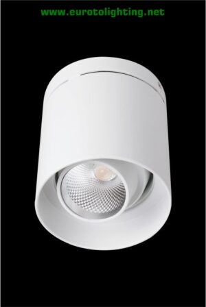 Đèn lon nổi Euroto LN-41 12W