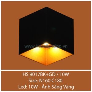 Đèn vách LED HS 9017BK+GD/10W Kazu